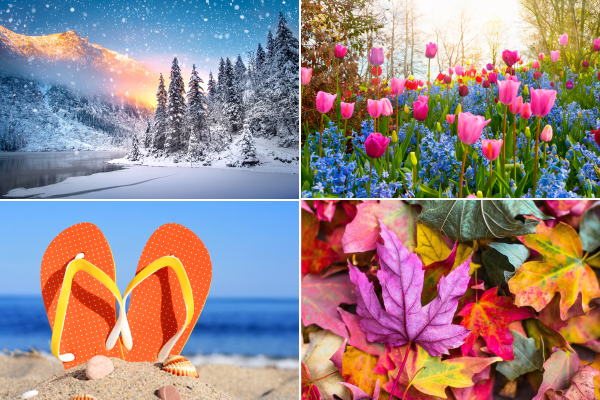 four seasons photo grid